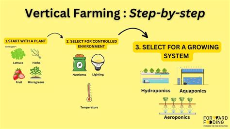 Vertical Farming Process 的图像结果