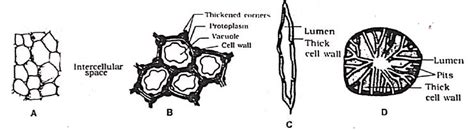 Refer to the accompanying figures and identify the types of simple ...