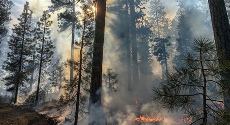 Image result for Bootleg Fire Behavior