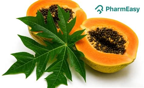 Papaya Leaves and Seeds to Treat Fever and Other Ailments | PharmEasy