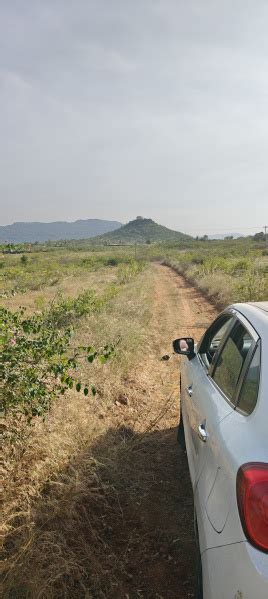 3 Acre Agricultural/Farm Land for Sale in Hanur, Chamarajanagar - by My ...