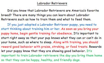 Image result for Informational Writing Examples