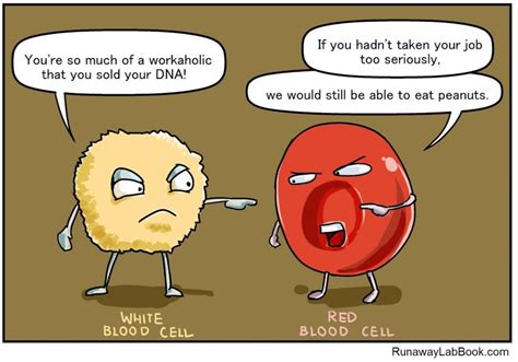Image result for Cell Adaptation Cartoon
