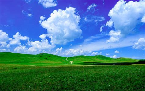 蓝天白云青草地,高清图片,电脑桌面-壁纸族