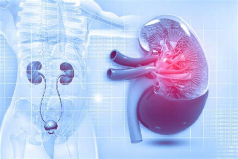 Urology | St. Theresa's Multi Speciality Hospital