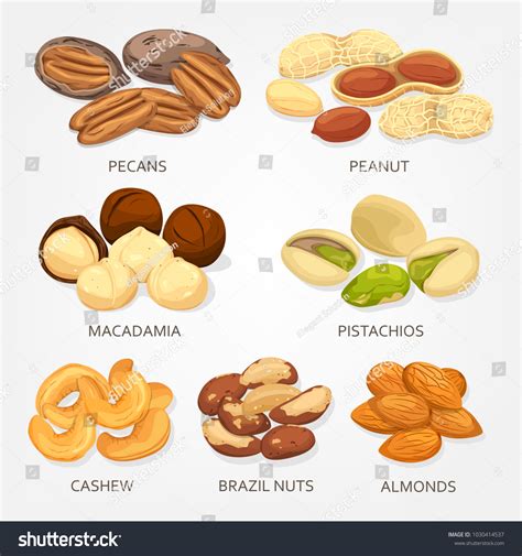 Image result for Nut Button Sound Effect Download