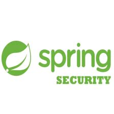 Spring Security Icon 的图像结果