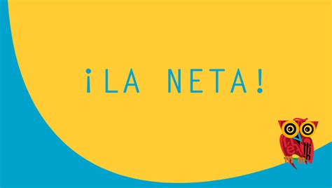What Does Neta Mean In Spanish at Gail Key blog