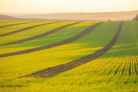 Background for Agriculture 的图像结果