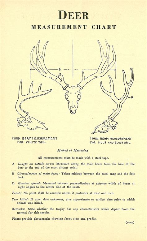 Genesis of a Scoring and Records System—B&C Impact Series | Boone and ...