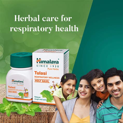 Himalaya Wellness Himalaya Tulasi Tablets