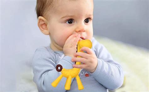 Buy BabyGo Silicone Giraffe Shaped Teether Toy | Soft Chewing Soother ...