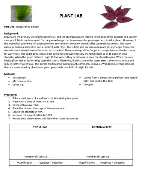 Image result for Plant Science Class U of S Lab Help