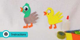 What is a Duck? - Answered - Twinkl Teaching Wiki - Twinkl