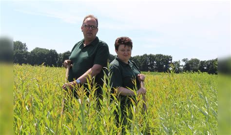 Kwekerij en groencentrum Zonnebeld al 97 jaar actief in groen