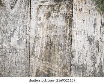 All around the World 的图像结果