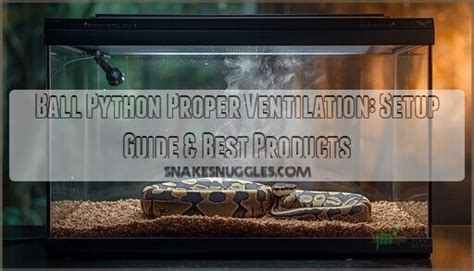 Image result for Ball Python Substrate
