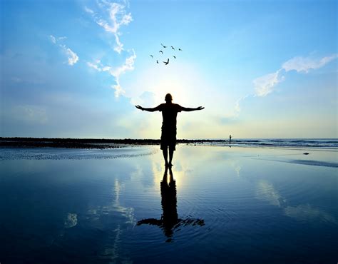 Experienced Psychotherapist Toronto | Psychotherapy Toronto