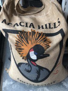 Tanzania Acacia hills Natural and Pacamara Auction | chouette blanche