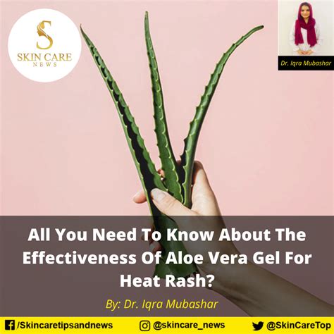 All You Need To Know About The Effectiveness Of Aloe Vera Gel For Heat