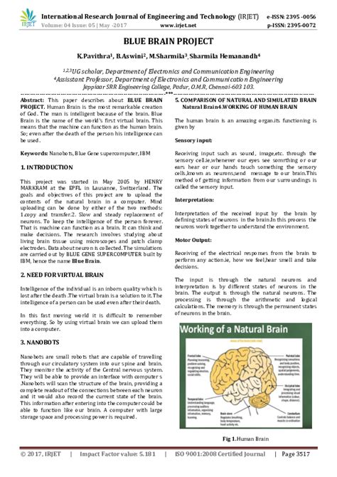 Blue Brain Project 的图像结果