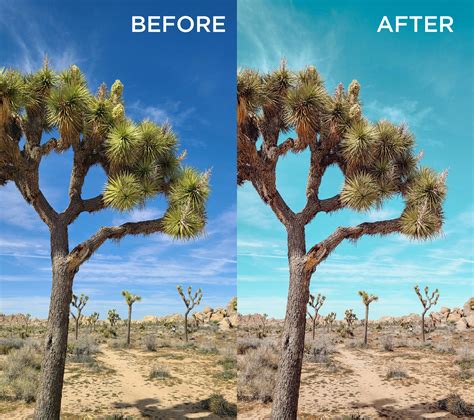 Desert Lightroom Presets: Mobile & Desktop, Nature Travel (9) - Etsy