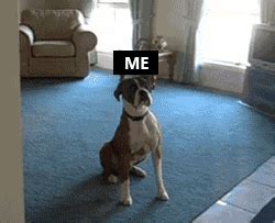 Image result for Has Excitement That Cannot Be Unleashed