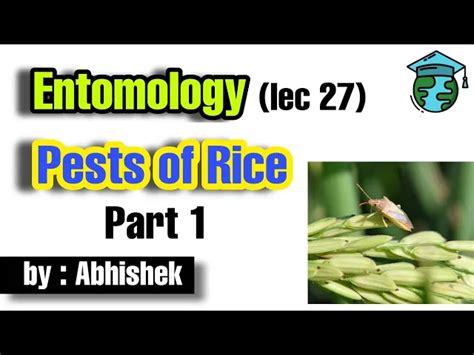 Pests of Rice • Part 1 • Lec 27 • Go For Agriculture Education #icar # ...