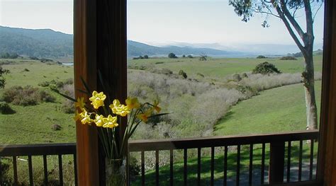 BLACK HERON INN (Point Reyes Station) - B&B Reviews & Photos - Tripadvisor