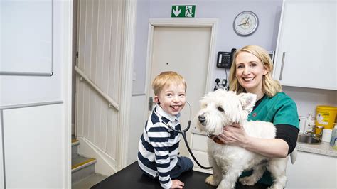 Contact Our Veterinary Team | Falkirk, Stirling | Graham's Road Vets ...
