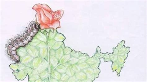 Petition · Demanding to with draw the status of 370 (part of XXI) for J ...