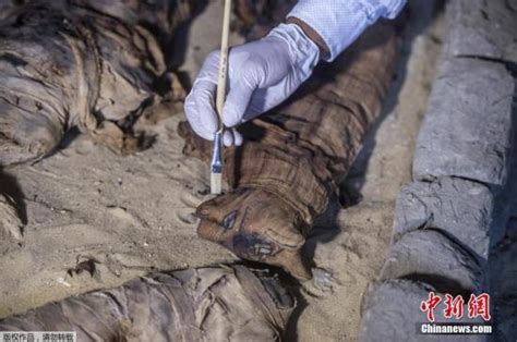埃及新发现千年木乃伊 装饰华丽保存完好-新闻中心-温州网