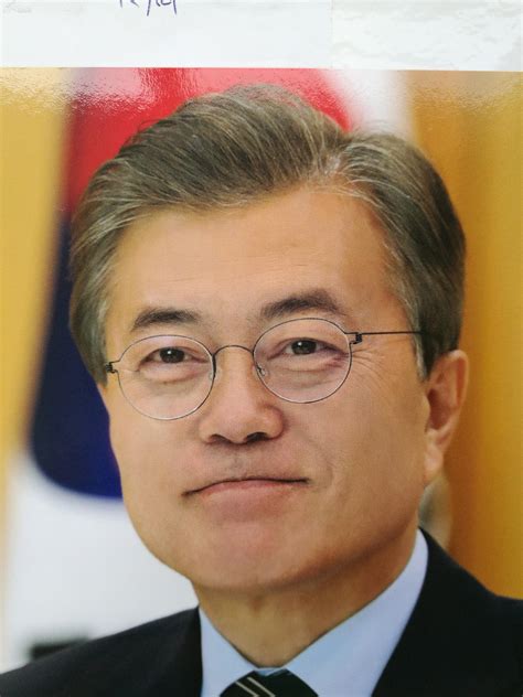 韩国总统（2017-）、前总统卢武铉的幕僚长、协助其赢得总统大选、有“卢武铉之影”之称、共同民主党主席（2015）、选举对策委员会委员长、国会 ...