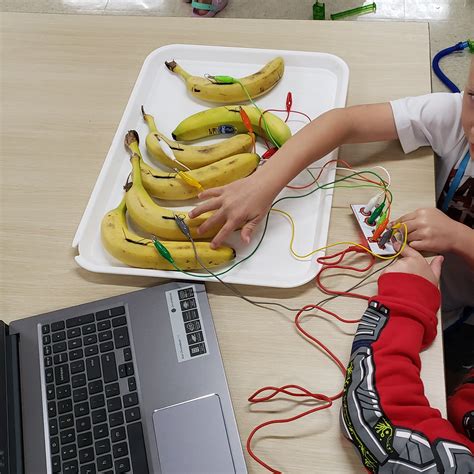 Image result for MaKey MaKey Earth Wire