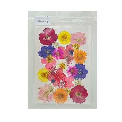 DFMG064_1200x1200.jpg?v=1753198936