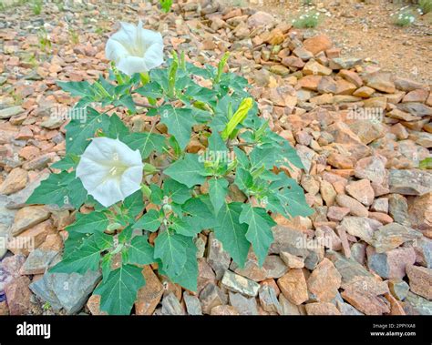 Image result for Make Video File Smaller