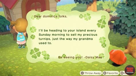 When Can I Find Daisy Mae in Animal Crossing New Horizons