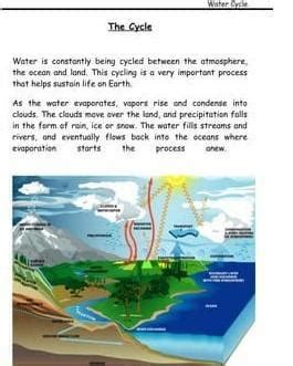 Explain the water cycle.Detailed - Brainly.in