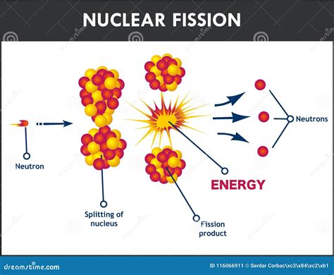 Nuclear Fission Process Vector Illustration | CartoonDealer.com #116066911