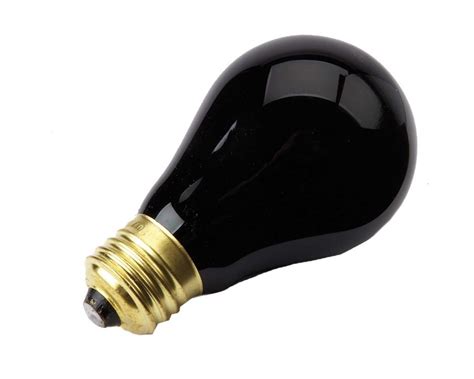 75W Blacklight Light Bulb, Black, 3-in, Indoor/Outdoor Decoration for ...