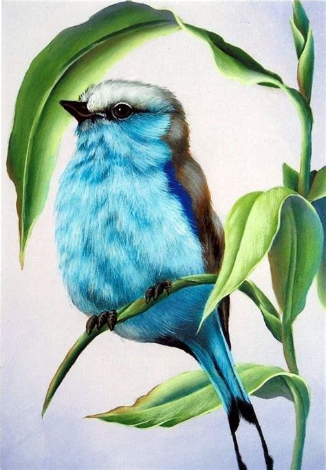 bird drawing with colour pencil