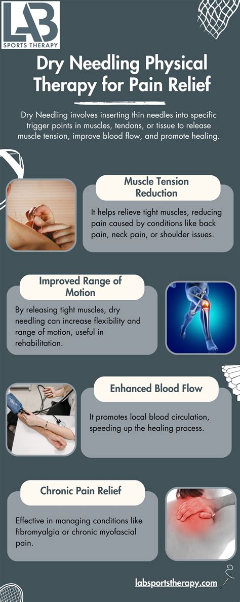 PPT - Dry Needling Physical Therapy for Pain Relief PowerPoint Presentation - ID:13618692