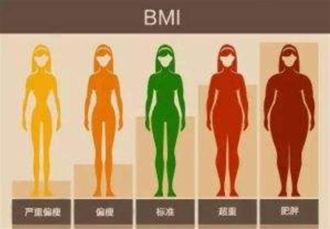 女性bmi多少正常图片，怎么看女性真人bmi多少正常-528时尚网