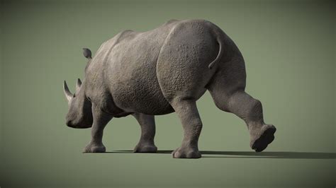 White Rhinoceros - Buy Royalty Free 3D model by 3dartstevenz [f56e3b8 ...