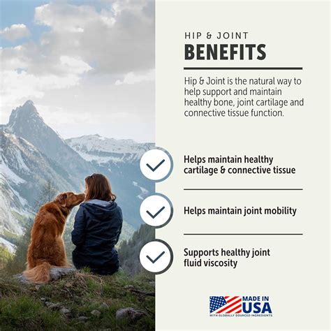 FOURLEAFROVER Hip & Joint - Joint Supplement for Dogs with Green India ...