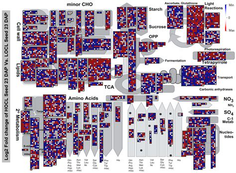 Comparative Transcriptome Analysis of Developing Seeds and Silique Wall ...