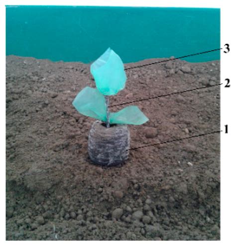 Evaluation of the Functional Parameters for a Single-Row Seedling ...
