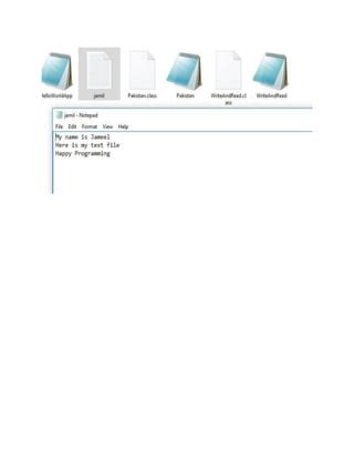 File Input and Output Java 的图像结果