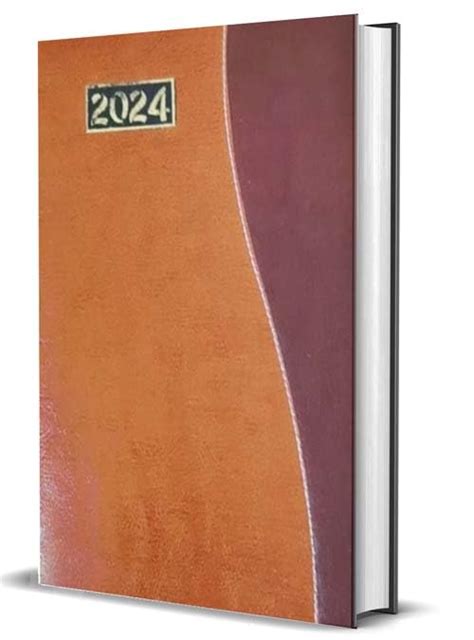 GREESHMA New year Diary 2024 with Sunday Full Page : Amazon.in: Office ...