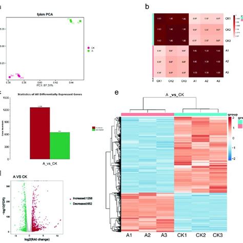 Image result for Transcriptome Analysis